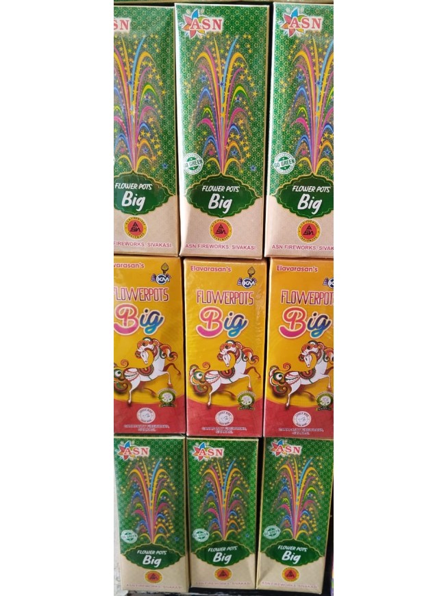 FLOWER POTS BIG (10 PCS)